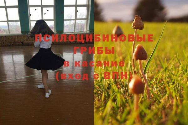 кокаин Алексеевка