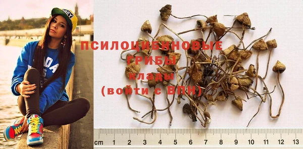 дурь Алексин