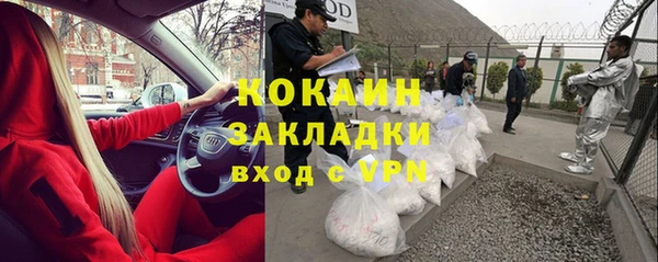 дурь Алексин