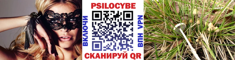 kraken ссылки  Гудермес  Галлюциногенные грибы мухоморы 